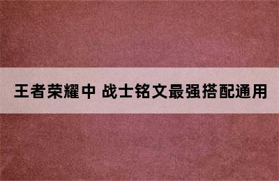 王者荣耀中 战士铭文最强搭配通用